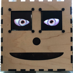 Animated Eyes in a Box, powered by Raspberry Pi