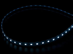 Analog RGBW LED Strip - RGB plus Cool White - 60 LED/m