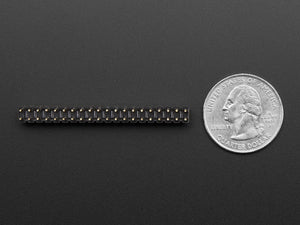 Break-away 0.1" 2x20-pin Strip Dual Male Header